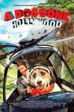 Watch A Doggone Hollywood Putlocker