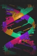 Watch Life to Eve Putlocker