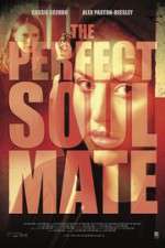 Watch The Perfect Soulmate Putlocker
