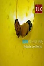 Watch Born Without Limbs Putlocker