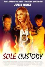 Watch Sole Custody Putlocker