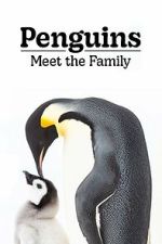 Watch Penguins: Meet the Family Putlocker