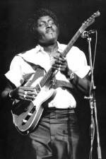 Watch Albert Collins in Concert Putlocker