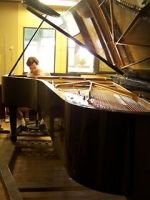 Watch Note by Note: The Making of Steinway L1037 Putlocker