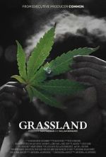 Watch Grassland Putlocker