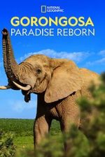 Watch Gorongosa: Paradise Reborn (Short 2022) Putlocker