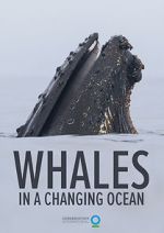 Watch Whales in a Changing Ocean (Short 2021) Putlocker