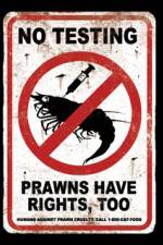 Watch Wikus and Charlize Putlocker