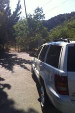 Watch Nefarious Nellie Putlocker