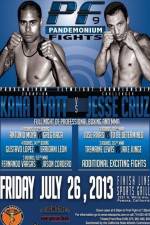 Watch Pandemonium Fights 9 Putlocker