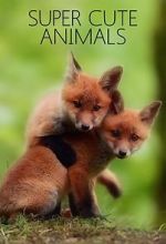 Watch Super Cute Animals Putlocker