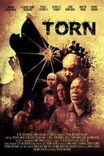Watch Torn Putlocker