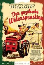 Watch The Taming of the Scoundrel Putlocker