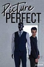 Watch Picture Perfect Putlocker