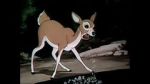 Watch Wacky Wildlife (Short 1940) Putlocker