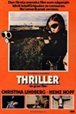 Watch Thriller: A Cruel Picture Putlocker