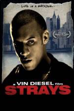 Watch Strays Putlocker