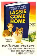 Watch Lassie Come Home Putlocker