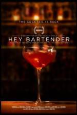 Watch Hey Bartender Putlocker