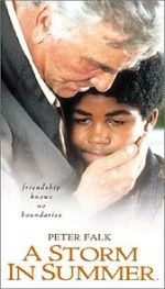 Watch A Storm in Summer Putlocker