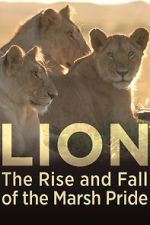 Watch Lion: The Rise and Fall of the Marsh Pride Putlocker