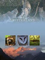 Watch Wilde Schweiz Putlocker