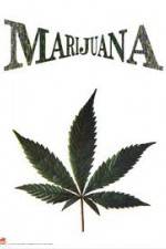 Watch Nederwiet De Moevie Putlocker