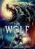 Watch The Wolf Putlocker