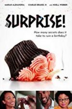 Watch The Surprise! Putlocker
