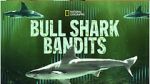 Watch Bull Shark Bandits Putlocker