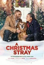 Watch A Christmas Stray Putlocker