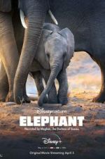 Watch Elephant Putlocker