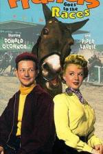 Watch Francis Goes to the Races Putlocker