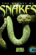 Watch The Beauty of Snakes Putlocker