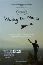 Watch Waiting for Mamu Putlocker