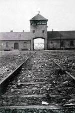Watch AUSCHWITZ: FRENZIED KILLING Putlocker