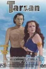 Watch Tarzan's Desert Mystery Putlocker