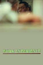 Watch Work Experience Putlocker