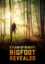 Watch A Flash of Beauty: Bigfoot Revealed Putlocker