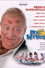 Watch My 5 Wives Putlocker
