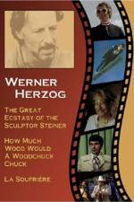 Watch Die große Ekstase des Bildschnitzers Steiner Putlocker