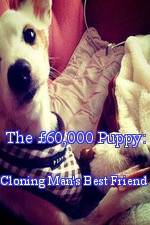 Watch The £60,000 Puppy: Cloning Man's Best Friend Putlocker