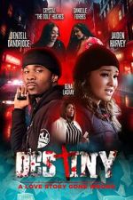 Watch Destiny: A Love Story Gone Wrong Putlocker